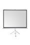 Tpp-200, 200X200, Tripod, Projection Screen, Black Background, Portable Floor Model - 2