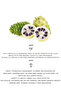 Noni Collagen Supported Korean Cleansing Foam |   Deeply Cleans Pores, Refreshes Skin - Ikore - 8