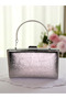 New Model Platinum Color Shiny Patterned Chain Strap Handle Women's Evening Dress Bag Wedding Engagement Graduation - 2
