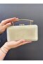 Very Stylish Special Occasions Preferred Glittery Shiny Evening Dress Bag