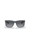 RB 4165 6596T3 51 Justin Unisex Polarized Clear Blue Bone Sunglasses - 5