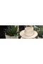 Jaylee 6-piece bone coffee cup set - 2
