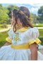 Yellow Daisy Vintage Baby Girls' Dress, Birthday Dress, Photo Shoot Dress, Suitable for ages 0-12 - 9