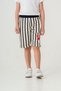 All Area Striped Crab Printed Boy's Shorts - 7