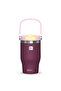 Vacuum Insulated Tumbler w/ handle, 500ml Purple