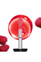 Gossip Glow Lip Gloss Oil - 3