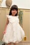 White Sleeveless Ruffle Detailed Daisy Embroidered Girl's Baby Girl Dress