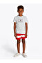 Boys T-Shirts