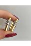 Steel Luss Gold Earrings