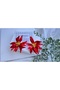 Flower Earrings Zra Model Red - 2