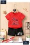 Children's “Palmiye Bordo“ Special Printed Crew Neck T-Shirt - Shorts Set