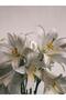 هاريكابيريف | نموذج الزنبق الأبيض (LILIUM CANDIDUM) | طاولة زجاجية مقوية بإطار واحد عمودي - 2