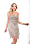 Vera Short Strap Dress – Silver Sequin Fringe Mini Dress - 6