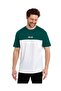 Men's Crew Neck Colorblock Regular Fit Printed T-Shirt
