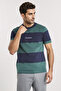 Contrast Striped Regular Fit Premium Cotton Crew Neck T-shirt
