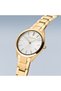Bering 17231-734 Kol Saati - 4