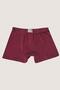 Boy's Cotton Soft and Flexible Lycra Boxer 3 Pcs Burgundy Gray Black - 2