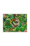 Puzzle 300 piese - Lenes