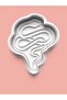Snake Cookie Mold and Sugar Dough Mold Set of 4 0592-Set - 5
