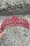 Alexa Red Bridal Henna Crown Special Occasion Accessory Women's Crown Hair Accessory – Crown, Crystal Stone