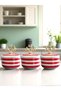 Kitchen Accessory 3-Piece Breakfast Spice Rack Storage Container Sugar Bowl Red Zebra Gold Coral