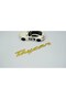 شعار Taycan Bagaj Gold Text Logo متوافق مع شعار Porsche - 3