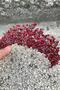 Amelia Burgundy Bridal Henna Crown Special Occasion Accessory Women's Crown Hair Accessory – Crown, Crystal Stone - 4