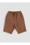 Lcw Kids Beige Dinosaur Printed Boys T-Shirt and Shorts Pack of 2 - 3