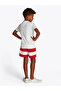Boys T-Shirts - 2