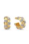 Vip Series Gold Brand Model Zircon Stone Hoop Earrings