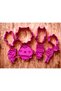 Cat Themed Dough and Cookie Cutter Set of 4 - Bioplastic That Dissolves in Nature