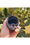 Coffee Cup - Challenge - 150 ml - 6