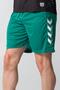 Dream Training Shorts Green - 6