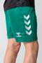 Dream Training Shorts Green - 4