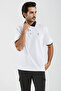 Basic Regular Fit Premium Cotton Logo Polo Shirt