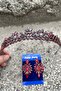 Alejandro Burgundy Bridal Henna Crown Special Occasion Accessory Women's Crown and Thin Shuttle Earring Set - 5