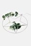 LED Ring Star Leaves Decoration
