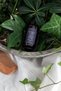 Argan Oil 100% Pure Cold Pressed Natural Hair and Skin Care Oil 30 ml - 2