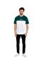 Men's Crew Neck Colorblock Regular Fit Printed T-Shirt - 2