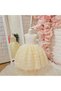 Cream Roses Vintage Baby Girl Dress, Birthday Dress,Photo Shooting Dress,Suitable for 0-12 Years Old - 2