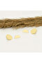 Women's Gold Color Round Earrings - 3