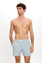 Men's Seersucker Fabric Striped Swim Shorts with Pockets Mesh Lining Quick Dry Water Repellent Medium Size 25Sm112St