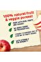 Cerelac Apple Fruits Puree Pouch Baby Food From 6 Months 90 g - 4