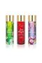 Body Lotion - Moisturizer - 4