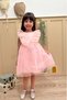 Pink Sleeveless Ruffle Detailed Daisy Embroidered Girl's Baby Girl Dress - 3