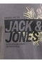Men's Crew Neck Logo Printed T-Shirt Gray - 4