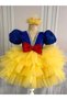 Snow White Beaded Skirt Ruffles Girls Custom Dress Costume - 3