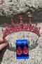 Catalina Red Bridal Henna Crown Special Occasion Accessory Women's Crown and Drop Shuttle Earrings Set