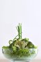 Feyzade Tokyo Storage Container 2 Pcs 880Cc Bowl Without Lid - 2