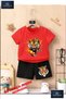 Children's "Tiger on Pence" Special Printed Crew Neck T-Shirt - Shorts Set